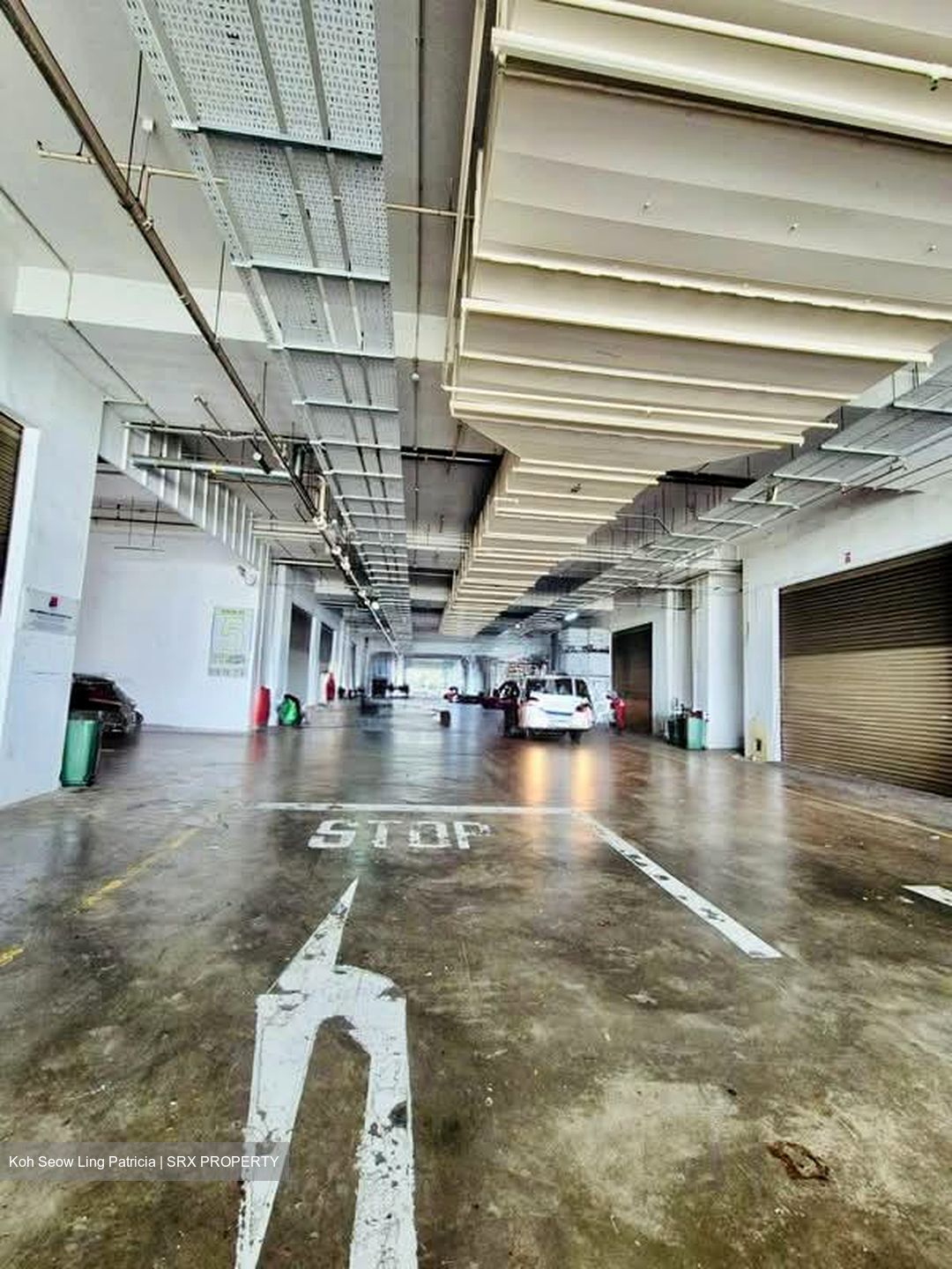 North Spring Bizhub (D27), Factory #531616321